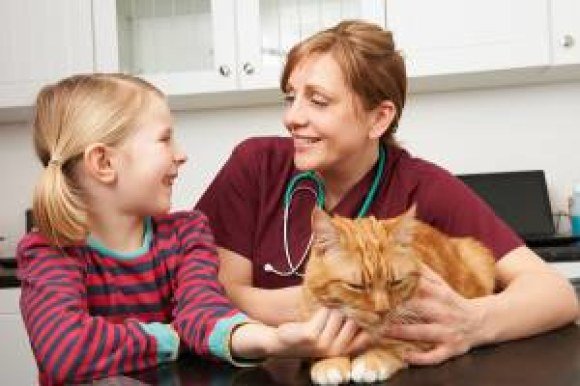 just4mypet vet child cat