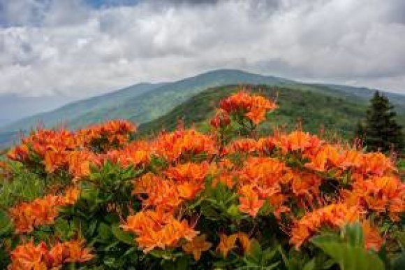 trek across tennessee